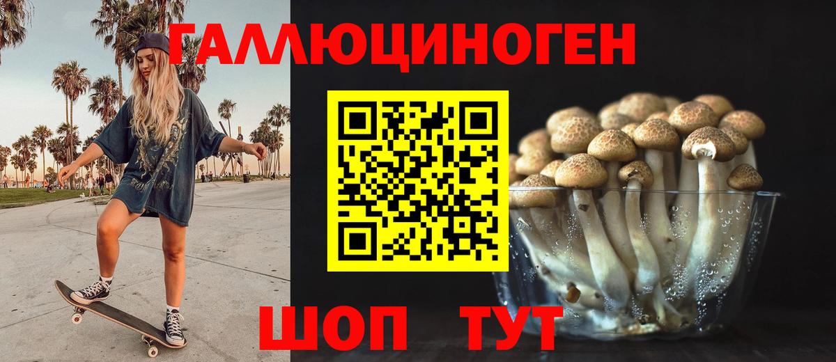 Псилоцибиновые грибы Cubensis Сердобск