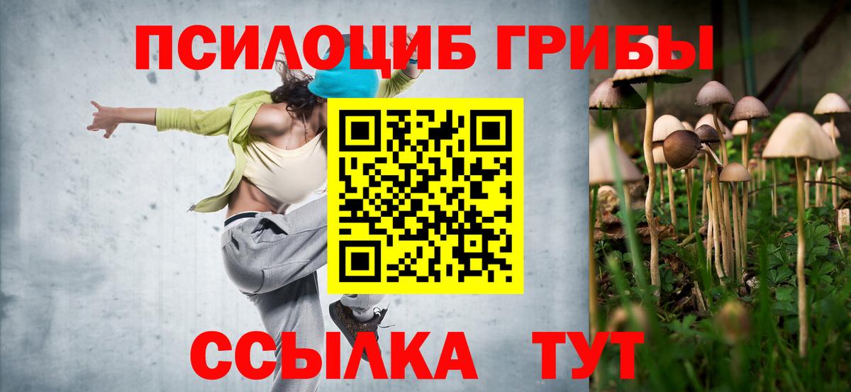 Сердобск  Псилоцибиновые грибы Psilocybe  Вход с VPN  Галлюциногенные грибы Cubensis 