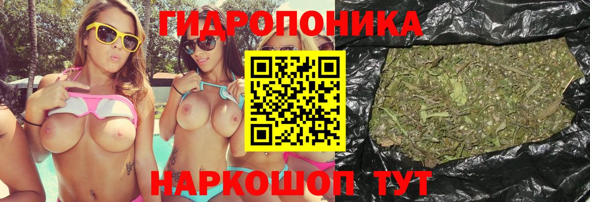Бошки марихуана тримм  Бошки марихуана семена  Бошки марихуана AK-47  Вход с VPN  Сердобск  Каннабис марихуана 